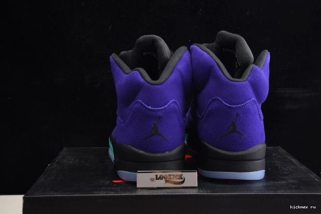 Rep MAX 136027-500 Retro Air Jordan Alternate 5 Grape 0715